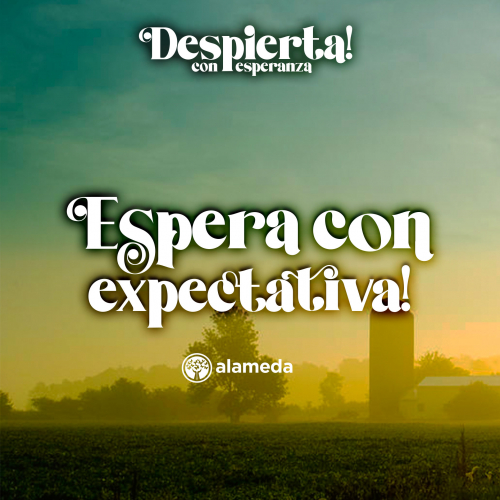 Cree sin límites